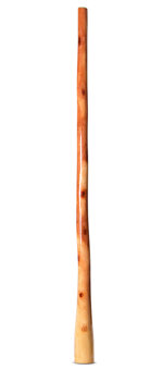 Ironbark Didgeridoo (IB273)